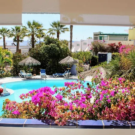 Bougainvillea Bamira * Maspalomas (Gran Canaria)
